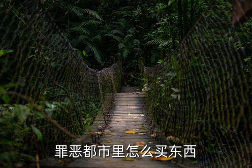 罪恶都市里怎么买东西