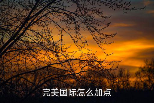 完美国际手游青云版怎么加点，完美国际怎么加点