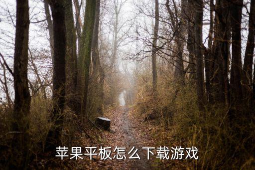 cf手游苹果平板怎么下载，怎么用iPad下载手机客户端的游戏
