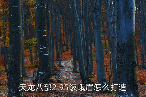 天龙八部2 95级峨眉怎么打造