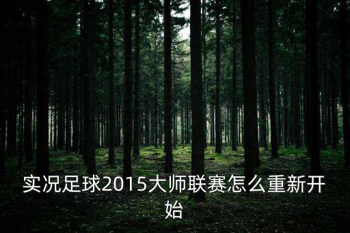 手游实况足球怎么恢复联赛，实况足球2011 我手贱把我的大师联赛的简单设置给弄没了 现在要怎