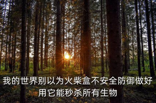 我的世界别以为火柴盒不安全防御做好用它能秒杀所有生物