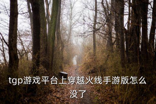 tgp游戏平台上穿越火线手游版怎么没了