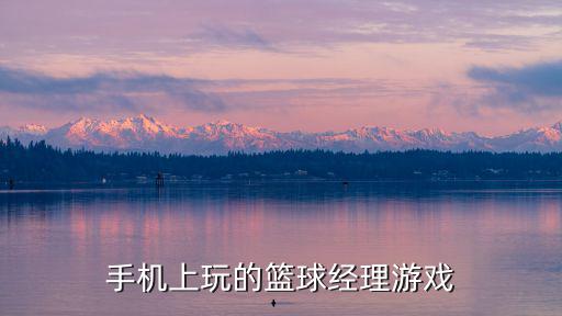 篮球经理手游版怎么玩，手机上玩的篮球经理游戏