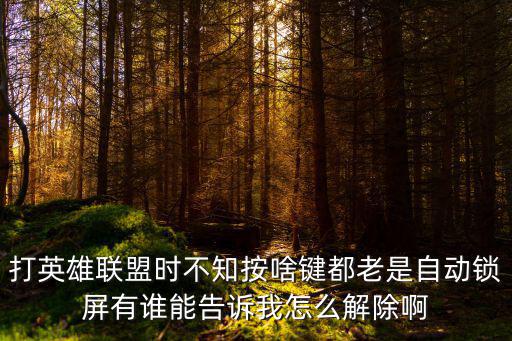 打英雄联盟时不知按啥键都老是自动锁屏有谁能告诉我怎么解除啊