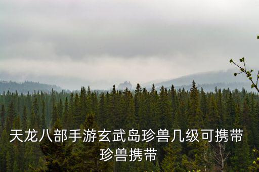 天龙八部手游玄武岛珍兽几级可携带 珍兽携带