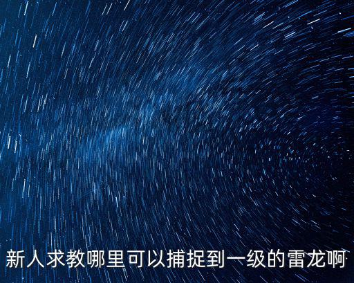 新人求教哪里可以捕捉到一级的雷龙啊