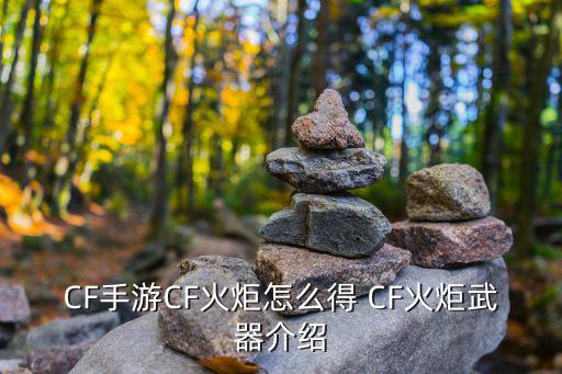 CF手游CF火炬怎么得 CF火炬武器介绍