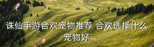 诛仙手游合欢宠物推荐 合欢选择什么宠物好