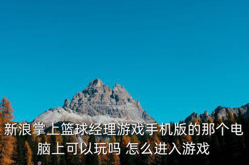 新浪掌上篮球经理游戏手机版的那个电脑上可以玩吗 怎么进入游戏