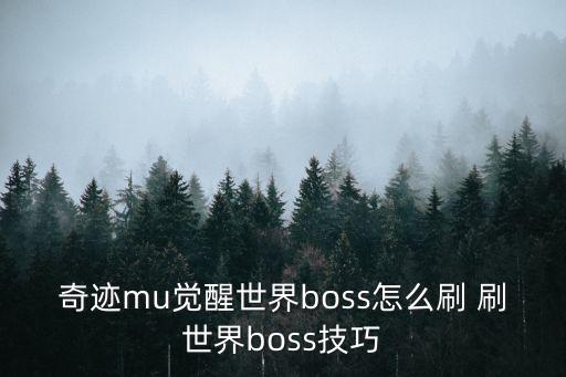 奇迹mu觉醒世界boss怎么刷 刷世界boss技巧