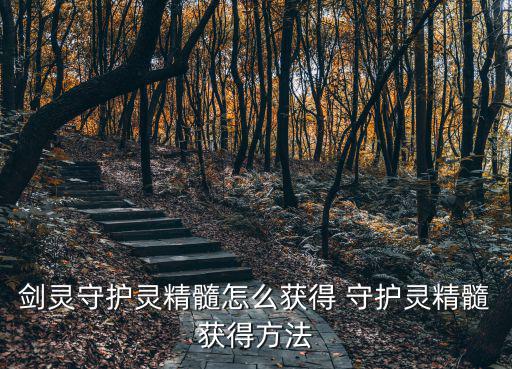剑灵手游守护灵怎么合成，剑灵守护灵精髓怎么获得 守护灵精髓获得方法