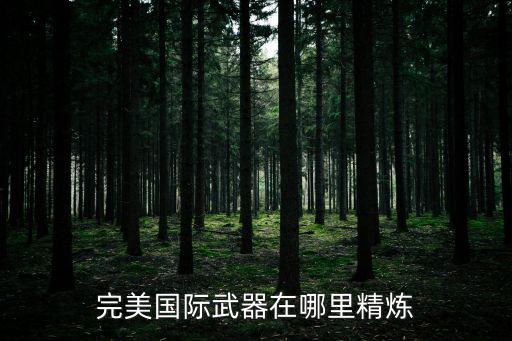 完美国际手游精炼装备怎么获得，完美国际武器在哪里精炼