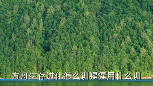 方舟生存进化怎么训猩猩用什么训