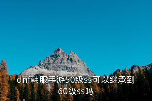 dnf韩服手游50级ss可以继承到60级ss吗