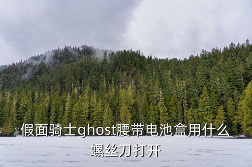 假面骑士ghost腰带电池盒用什么螺丝刀打开