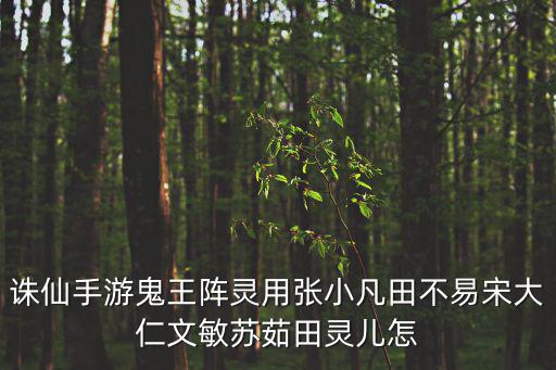 诛仙手游鬼王阵灵用张小凡田不易宋大仁文敏苏茹田灵儿怎