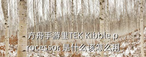 方舟手游mod版怎么制造工具，方舟手游里TEK Kibble processor 是什么该怎么用