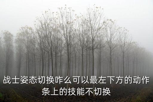 战士姿态切换咋么可以最左下方的动作条上的技能不切换