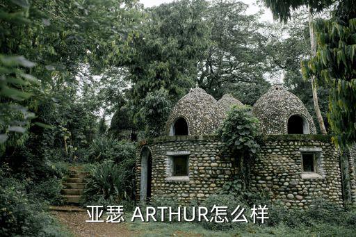 亚瑟 ARTHUR怎么样