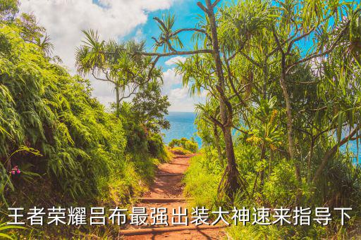 王者荣耀吕布最强出装大神速来指导下