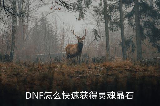DNF怎么快速获得灵魂晶石