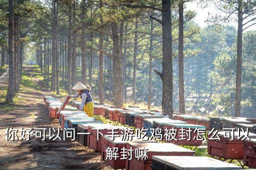 你好可以问一下手游吃鸡被封怎么可以解封嘛