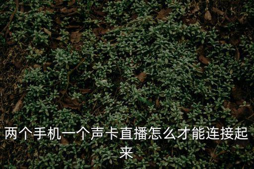 两个手机一个声卡直播怎么才能连接起来