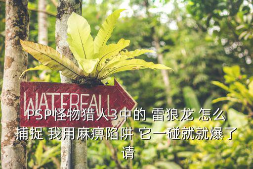 PSP怪物猎人3中的 雷狼龙 怎么捕捉 我用麻痹陷阱 它一碰就就爆了 请