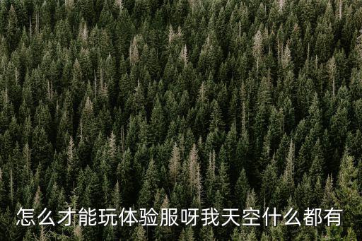 怎么才能玩体验服呀我天空什么都有