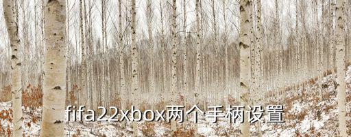 fifa22手游怎么连接手柄，第二个手柄怎么连接fifa22