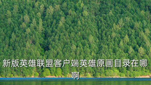 新版英雄联盟客户端英雄原画目录在哪啊