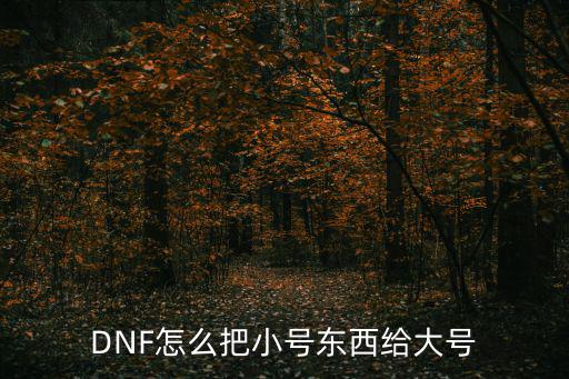 DNF怎么把小号东西给大号