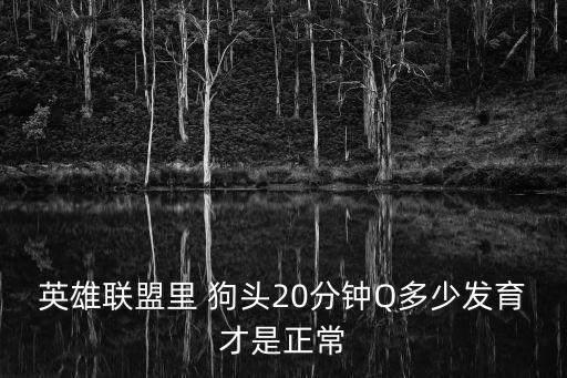 英雄联盟里 狗头20分钟Q多少发育才是正常