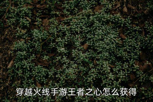 穿越火线手游王者之心怎么获得