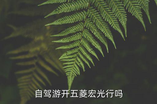 自驾游开五菱宏光行吗