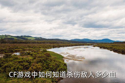 CF游戏中如何知道杀伤敌人多少血