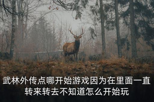 武林外传点哪开始游戏因为在里面一直转来转去不知道怎么开始玩