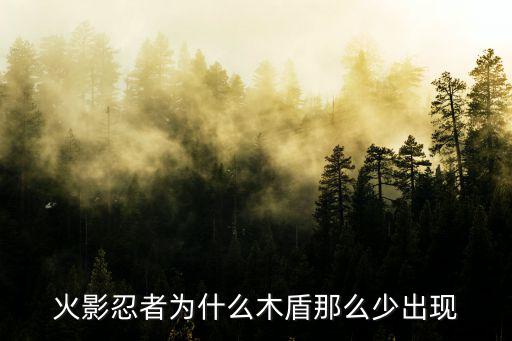 火影忍者为什么木盾那么少出现