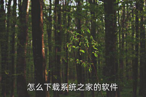怎么下载系统之家的软件
