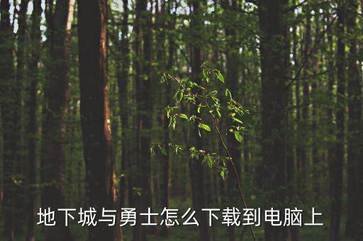 地下城与勇士怎么下载到电脑上