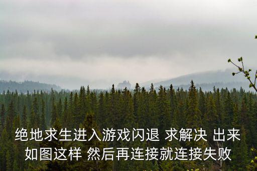 绝地求生进入游戏闪退 求解决 出来如图这样 然后再连接就连接失败