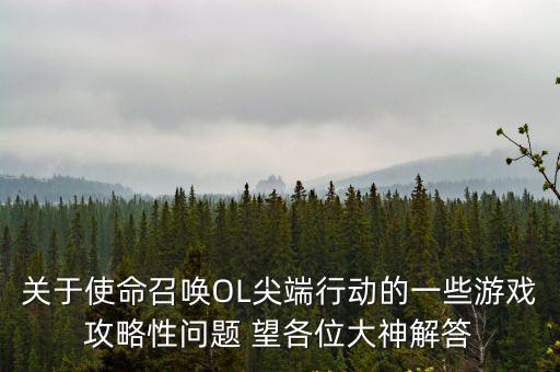 关于使命召唤OL尖端行动的一些游戏攻略性问题 望各位大神解答