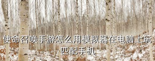 使命召唤手游远程怎么完成，使命召唤最好的键盘设置是怎样的