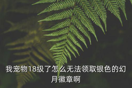 我宠物18级了怎么无法领取银色的幻月徽章啊