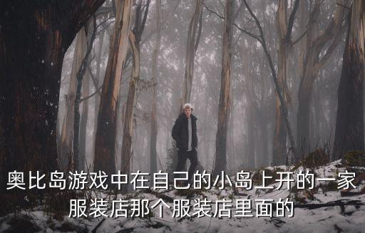 奥比岛游戏中在自己的小岛上开的一家服装店那个服装店里面的