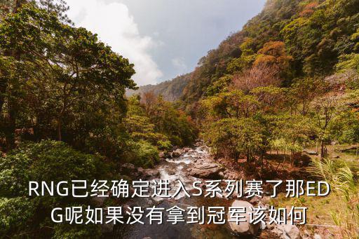RNG已经确定进入S系列赛了那EDG呢如果没有拿到冠军该如何