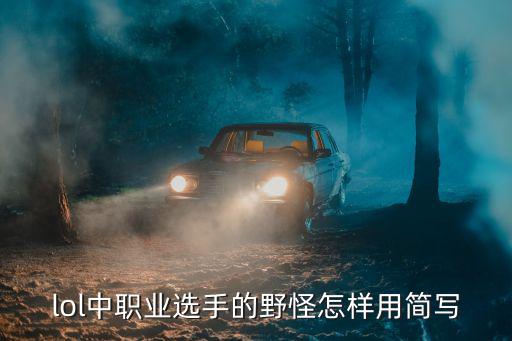 lol中职业选手的野怪怎样用简写