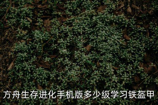 方舟生存进化手机版多少级学习铁盔甲
