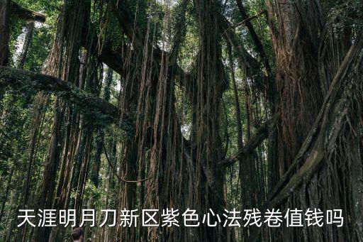 天涯明月刀新区紫色心法残卷值钱吗
